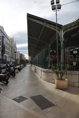 Allée couverte avec toit en métal et plantes en pot.