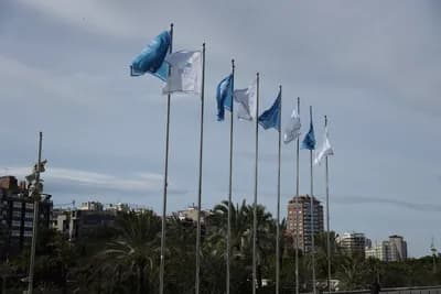 Flags waving in the wind with palm trees and buildings in the background.