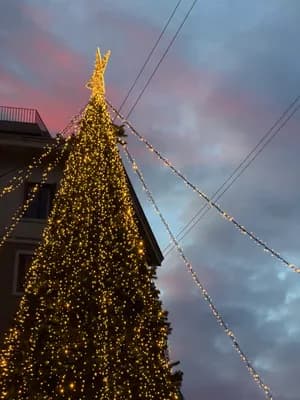 Illuminated Christmas tree with golden lights against a twilight sky.