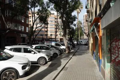 Parked cars along a sidewalk with palm trees and buildings in the background.