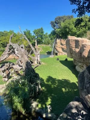 Natural and sculpted rock formations in a grassy area with a small body of water and clear blue sky.