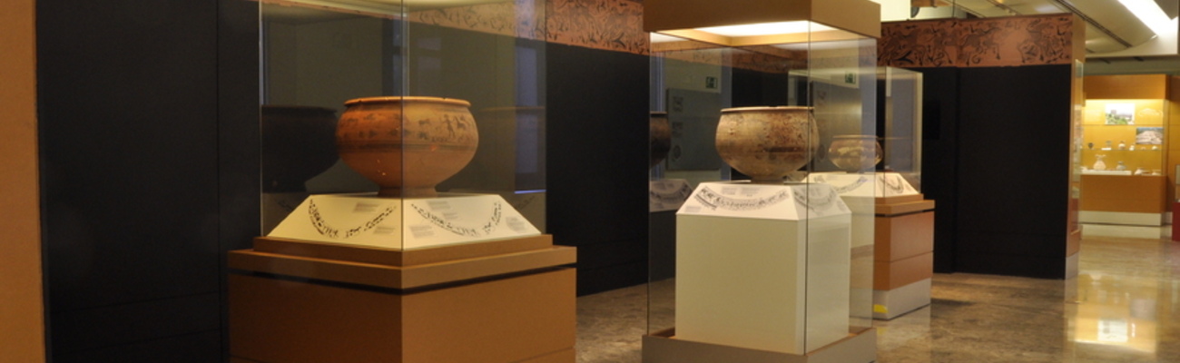 Museo de Prehistoria de Valencia