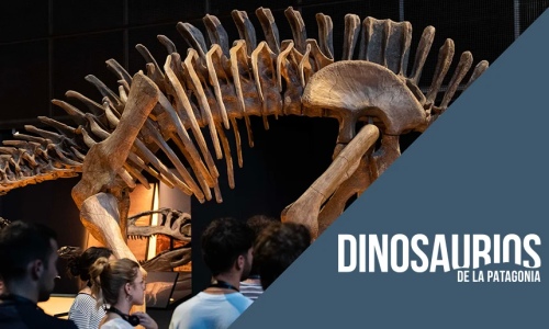 Les dinosaures de la Patagonie