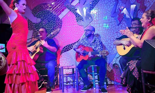 El Toro y La Luna Tablao - Dîner et spectacle flamenco