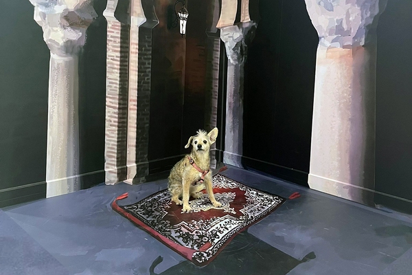 Museo Iluziona Valencia