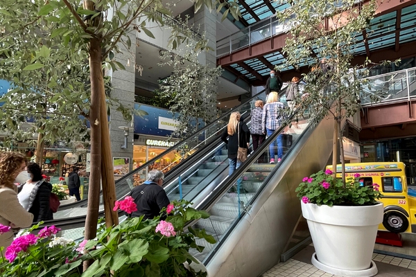 gallery